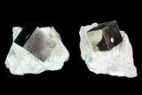 Flat: Natural, Pyrite Cubes In Rock From Spain - Pieces #92638-1